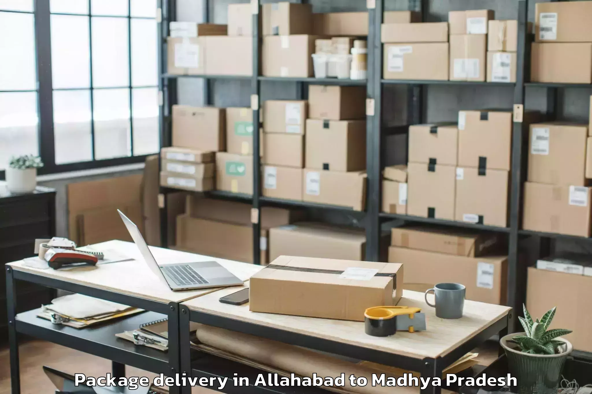 Trusted Allahabad to Saugor Package Delivery